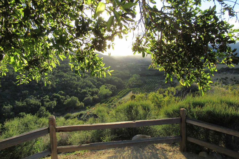Ojai WellSoul Workshop 2025