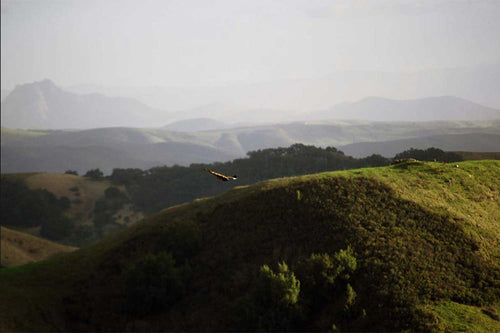 Napa WellSoul Workshop